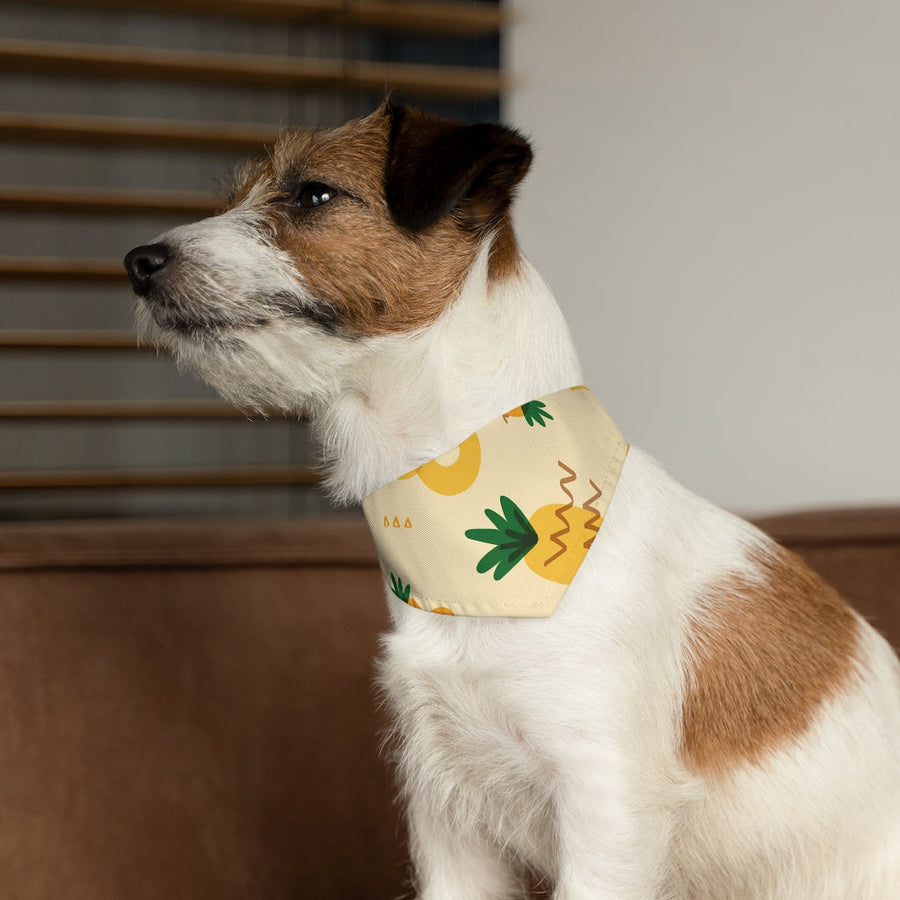 Pineapple Bandana Collar - Happy Pineapple Co.